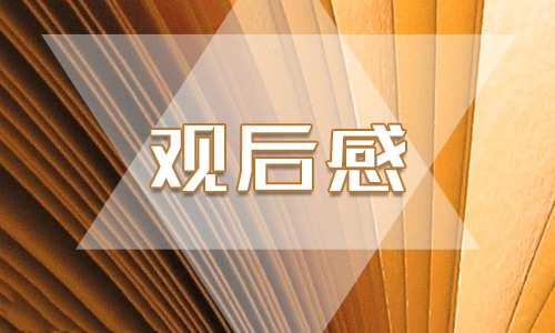 2024春季开学第一课安全教育课观后感