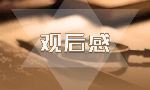 挺膺担当内容300字观后感